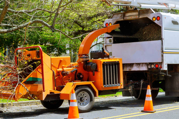 Seasonal Cleanup (Spring/Fall) in Colfax, WI